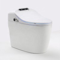 Ceramics One Piece Automatic Flush Bowl Toilet Smart Intelligent Toilet