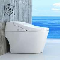 Ceramic one piece siphon flushing intelligent electric automatic smart toilet with bidet