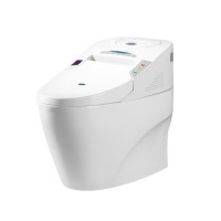 Japan Japanese Style Electric Intelligent Smart Women Toilet Wc