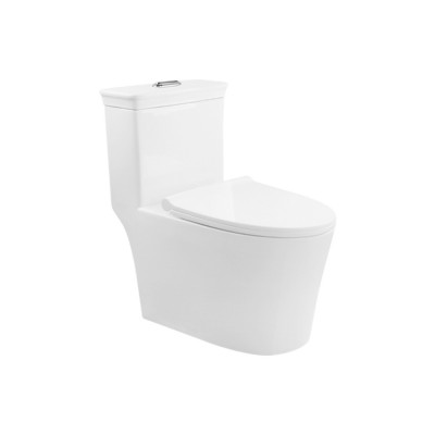 Modern Washroom European Standard sanitary ware Peeping Chinese toilet One Piece Toilet Commode